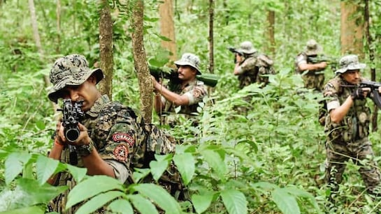 Security forces encircle Naxals