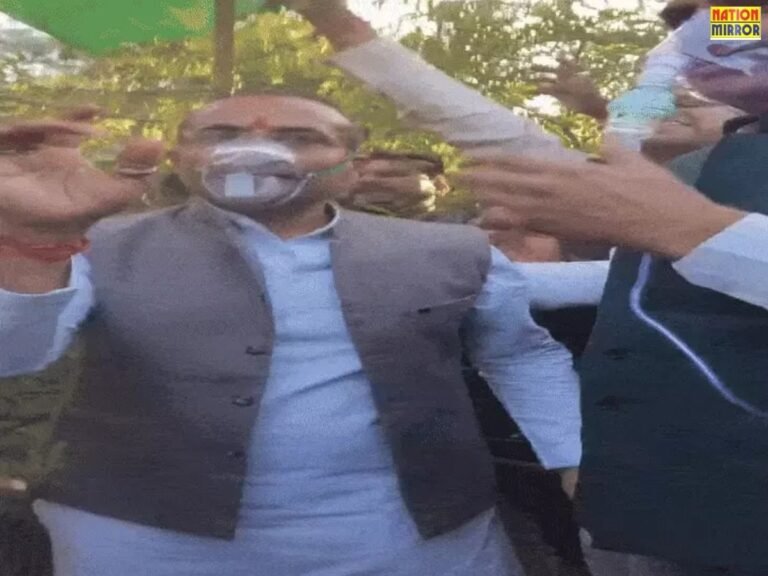 Environmentalists will protest by hugging trees