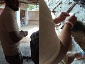 वीडियो आया सामने