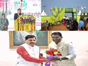 International Forest Fair begins