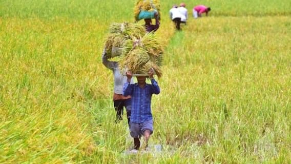 किसानों के लिए खुशखबरी,शुरू होगी Lakhpati 1 Bigha Farmer Scheme 2025