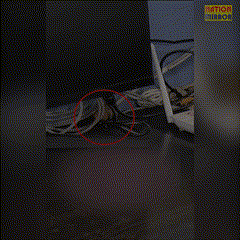 Rats are having fun in the district government hospital