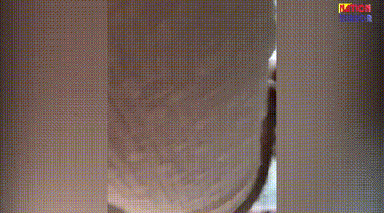 Rewa congress president Viral News