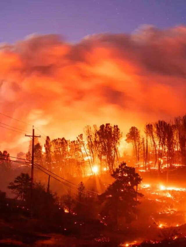 2025 की सबसे बड़ी वनाग्नि रही जो की भीषण गर्मी के कारण बढ़ी आग और हज़ारों घर जलकर राख में बदल गय.