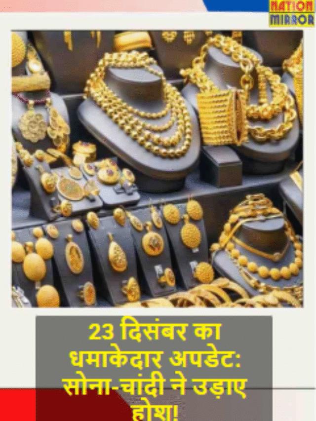 23 dec market update