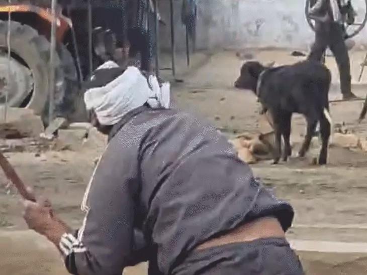 मुरैना में तार फेंसिंग विवाद: अशोक सिकरवार के घर पर हमला और तोड़फोड़