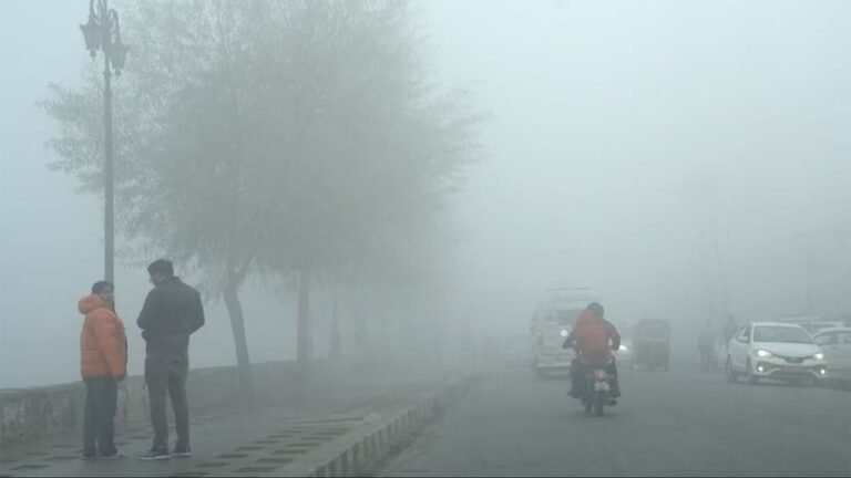 राजस्थान-मध्यप्रदेश में कड़ाके की ठंड और बर्फीली हवाओं का दृश्य