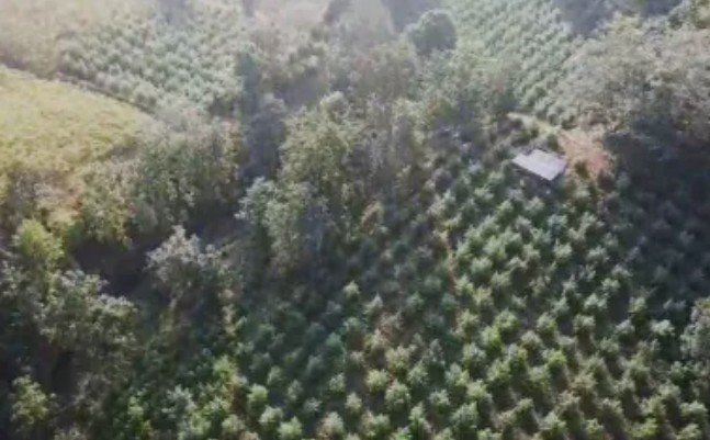 Operation Eagle Claw raid "ऑपरेशन ईगल क्लॉ में पुलिस की कार्रवाई और नशे का जखीरा बरामद"