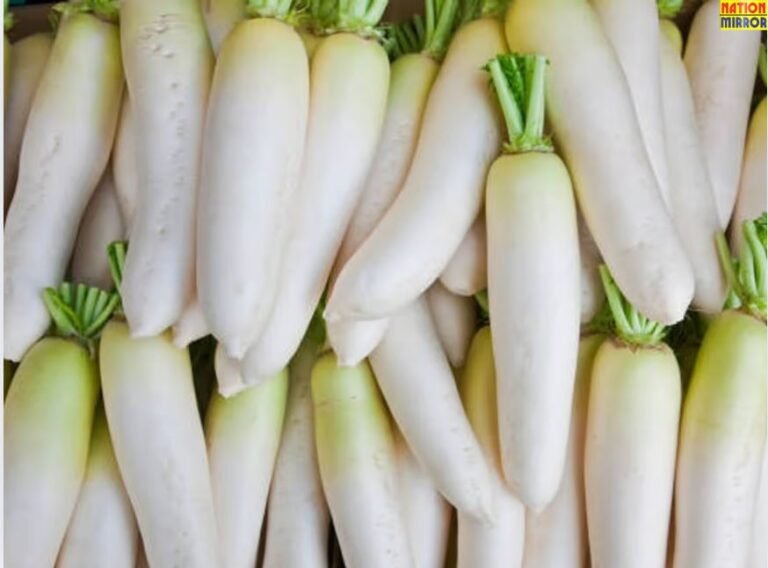 मूली खाने के नुकसान: इन लोगों को नहीं करना चाहिए मूली का सेवन