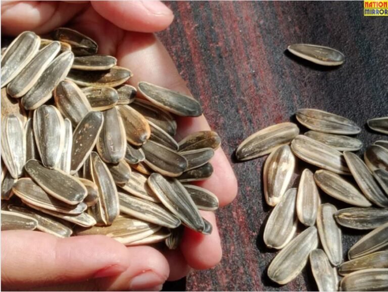 Flower Seeds For Health