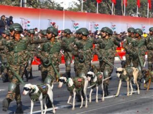 सेना के डॉग