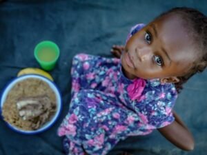 खाद्य सुरक्षा कानून में सुधार करने की तैयारी