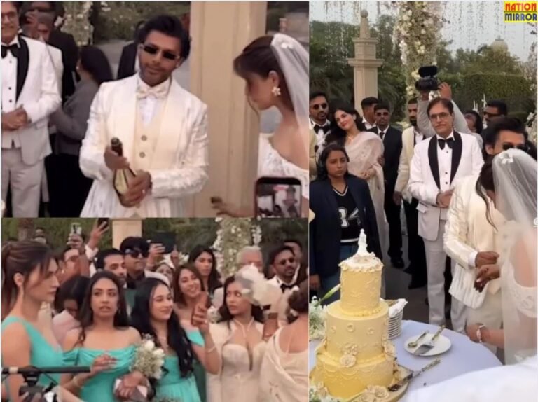 Nupur Sanon Stebins Wedding