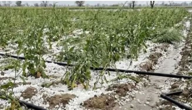 ओलावृष्टि