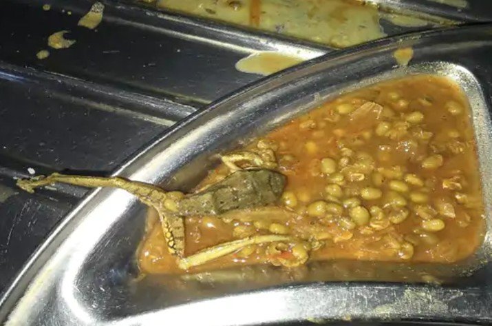 dental college mess cg डेंटल कॉलेज मेस के खाने में मरा मेंढक