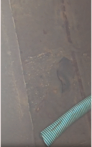 टैंकर का पानी