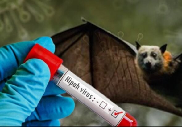 निपाह वायरस को लेकर, बंगाल में हाई अलर्ट, 21 दिन क्वारंटाइन जरुरी