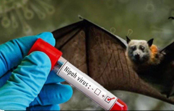 निपाह वायरस को लेकर, बंगाल में हाई अलर्ट, 21 दिन क्वारंटाइन जरुरी