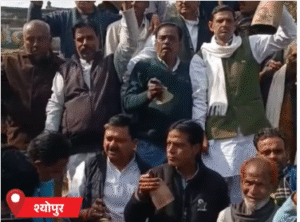 प्रदर्शन 