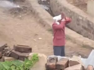 बुजुर्ग