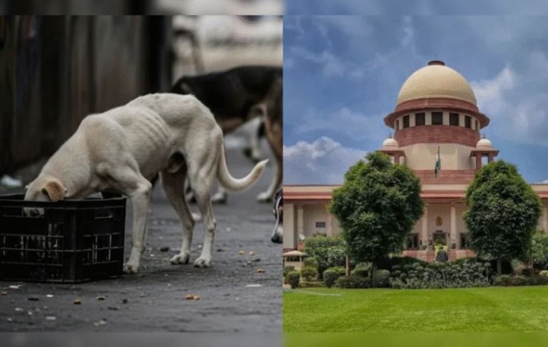 सुप्रीम कोर्ट