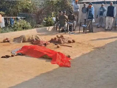 सिंगरौली में बलि