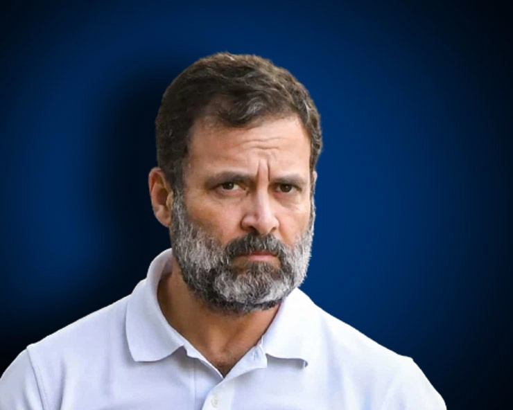 Rahul Gandhi Speech Row 8 विपक्षी सांसद सस्पेंड 