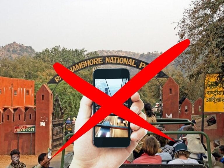 Sariska Ranthambore mobile ban