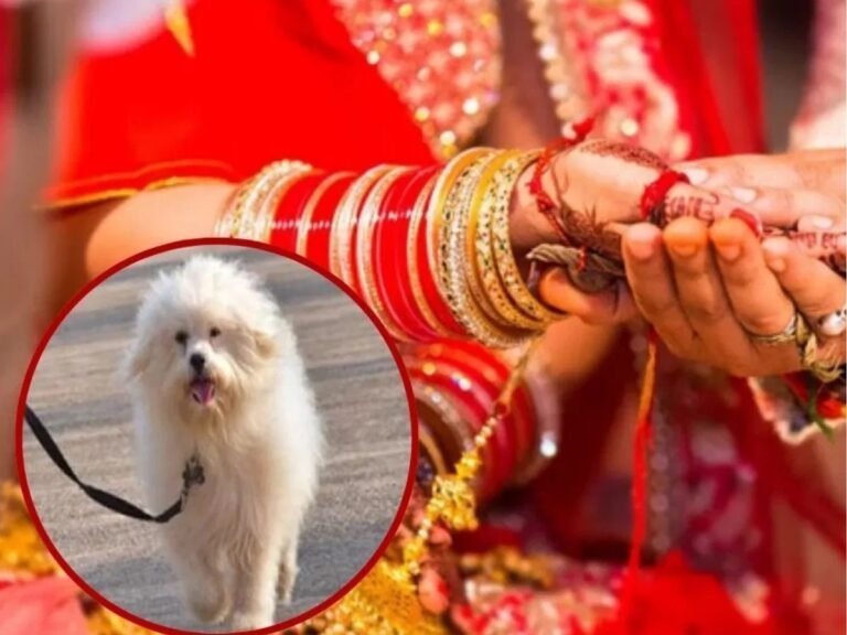 fatehpur dog beaten wedding