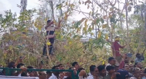 पेड़ों पर चढ़े किसान
