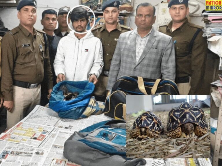 Turtle Smuggling Exposed Bhopal