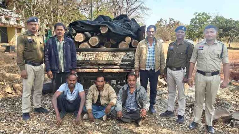 बिलासपुर में सागौन के लट्ठे भर कर ले जा रहे 5 लोग गिरफ़्तार