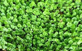 Health care tips 2026