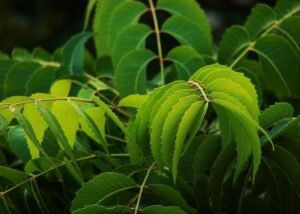 Health care tips 2026