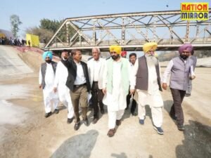 फिरोजपुर फीडर नहर