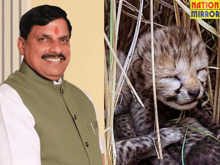 Kuno National Park: मादा चीता आशा बनी मां, CM ने जताया गर्व.