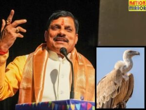 मुख्यमंत्री डॉ मोहन यादव