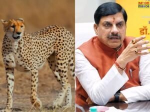 मुख्यमंत्री डॉ. मोहन यादव