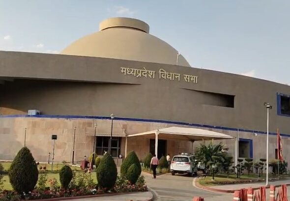 विधानसभा