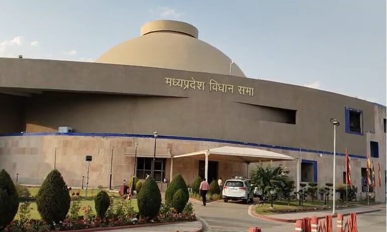 विधानसभा