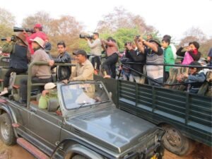 सरिस्का-रणथंभौर में मोबाइल पर बैन