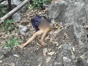 बाघ का हमला