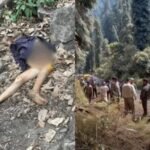 Tiger attack in Almora