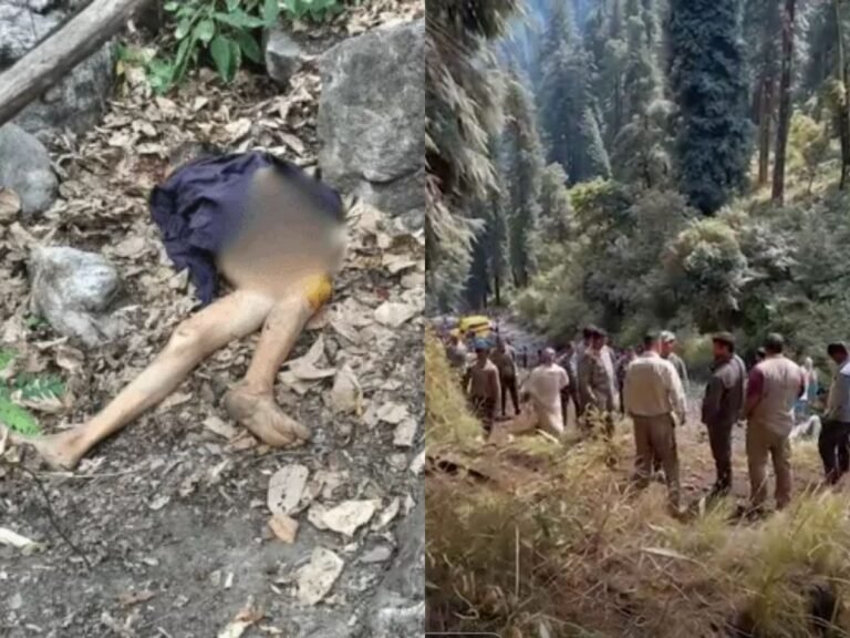 Tiger attack in Almora
