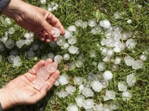 7 राज्यों में ओले गिर सकते हैं