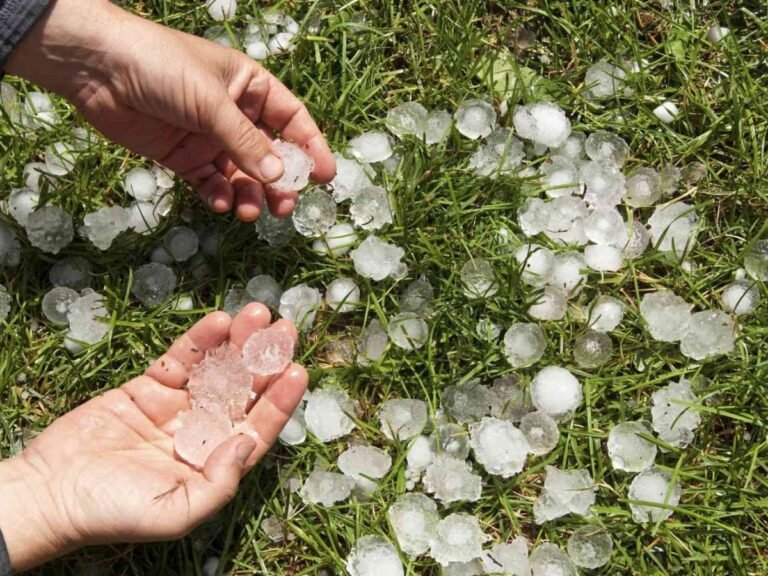 7 राज्यों में ओले गिर सकते हैं