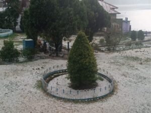 नैनीताल में गिरे ओले