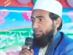 मौलाना अब्दुल सलीम