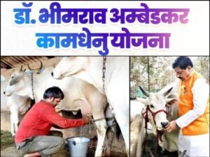 CM डॉ मोहन ने दी डेयरी व्यवसाय को नई उड़ान