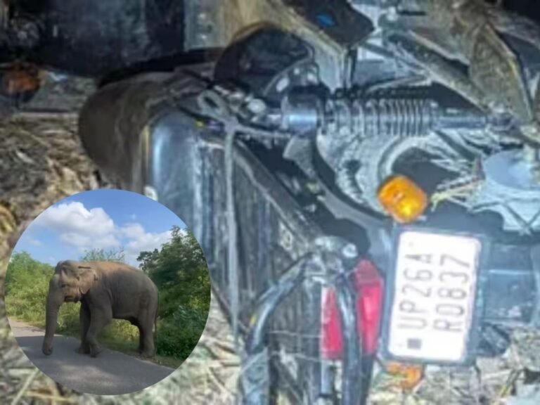 Haldwani elephant accident